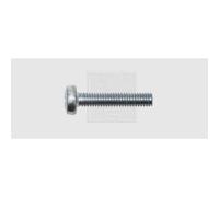 SWG Assortimento viti filettate M5 20 mm Phillips DIN 7985, acciaio zincato, 100 pz