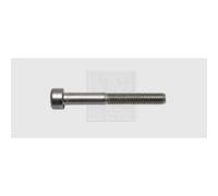 SWG 0 Vite con testa cava esagonale M5 4 mm Interno Esagonale DIN 912 Acciaio i