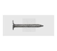 SWG - Matita per tetti DIN 1160, 2,5 x 25 mm, in acciaio zincato a caldo, 1 kg