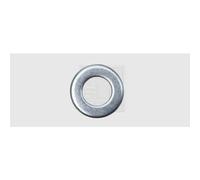 SWG 4071020 Rondella 10.5 mm 20 mm Acciaio zincato 100 pz.