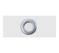 SWG 4071220 Rondella 13 mm 24 mm Acciaio zincato 100 pz.