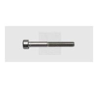 SWG 9451067 - Viti a esagono incassato M5, 10 mm, DIN 912, in acciaio inox A2, 50 pezzi.