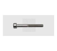 SWG 9452567 Vite con testa cava esagonale M5 25 mm Interno Esagonale DIN 912 A