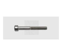 SWG 9462567 Vite con testa cava esagonale M6 25 mm Interno Esagonale DIN 912 A