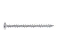 SWG Hox 175 740 020 67 Vite da legno 4 mm 20 mm Impronta T Acciaio zincato 200