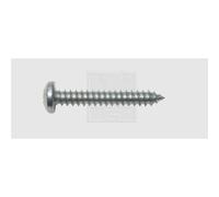 SWG Vite per lamiera 3.9 mm 19 mm A croce Phillips DIN 7981 Acciaio zincato 100