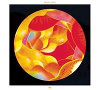 Swim Deep - Namaste (2 LP)