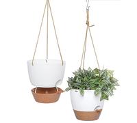 SwinDuck Vasi sospesi autoirriganti da 25,4 cm, confezione da 2 fioriere da appendere con serbatoio profondo da 1,18 l, per interni ed esterni, bianco con marrone