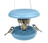 SWISSINNO Mangiatoia per Uccellini da Esterno - "Lucerne" SMART BIRDS - Casetta da Appendere Resistente per Palline di Grasso - Anti-topi e ratti - Azzurro Chiaro