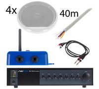 Swissonic SA 125 Biamp Pool Bundle S WH