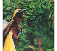 Switch Birds of Paradise (Vinyl LP)