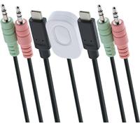 Inline Inline Kvm Switch, 2 Porte, Usb, Displayport 1.2, 4k, Audio, AlL-IN-One S