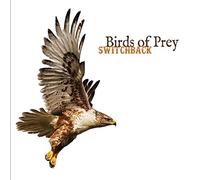 Switchback - Birds Of Prey