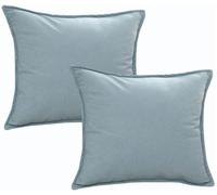 SWJ-swjssb 2 Pezzi Fodere per Cuscini Impermeabili - 30x50/40x60/50x70/45x45/55x55/60x60 cm Copricuscino con Cerniera - Decorative Federe per Divano e Letto(Azzurro Chiaro,30x50 cm 2pack)