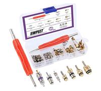 Swpeet 40PCS aria condizionata valvola Core kit, a/c R134 A R12 refrigerazione valvola nuclei con strumento di rimozione per presa