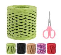 Swpeet Beautifu - 1 rotolo di nastro di rafia verde da 200 m, con forbici, kit assortito, corda di rafia naturale, spago di carta da imballaggio, per regali, forniture fai da te, decorazioni per mazzi