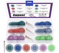 Swpeet Kit di 66 dischi abrasivi con setole radiali da 2,5 cm, grana mista 80/120/220/400/600/1000, con disco abrasivo per lucidatura e lucidatura, con gambo da 1/8", per utensili rotanti, pulizia,