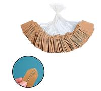 SWYSGS 200PCS Etichette Carta Kraft,Etichette Regalo, Etichetta Kraft con di Spago di Iuta per Regali di Compleanno,Matrimoni e fai da te-Marrone