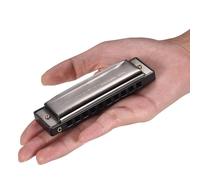 Sxhlseller Chiave in Bronzo Fosforoso Ad Alta Purezza Dell'armonica C Blues Boccaglio Ance ABS Design a Specchio con Custodia e Panno per Regalo per la Famiglia Nero (BLACK)