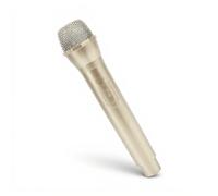 Sxhlseller Microfono Realistico per Performance Sul Palco, Simulazione in Plastica Leggera con Design a Interruttore, Giocattolo Fotografico per Feste con Discorsi per Bambini (GOLD)