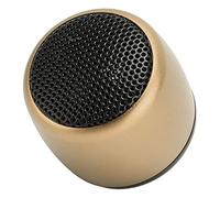 Sxhlseller Mini Altoparlante Bluetooth in Metallo con Subwoofer |USB Ricaricabile Portatile Wireless BT 5.0, Chiamate in Vivavoce per Telefono Tablet PC (GOLD)