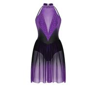Sxiwei Vestito per Pattinaggio Artistico Donna Abito da Ballo Senza Maniche Abito da Danza in Patchwork in Mesh da Danza con Collare per Collo Tutu da Sfumato da Viola L