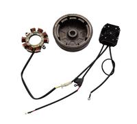 SxRakiO 12V 10Amp Generatore Modello Elettrico Volano Statore E Regolatore Kit Adatto for Hemi 212CC 65HP Illuminazione del Motore Charginga