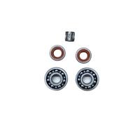 SxRakiO Cuscinetto a Sfere for Albero Motore del Tosaerba 6201 Paraolio Set guarnizioni Completo Adatto for tagliabordi FS350 FS400 FS450 FS480(Oil Seal Bearing)
