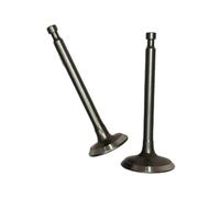 SxRakiO Kit valvole di aspirazione e Scarico Adatto for generatore Inverter Portatile 80CC ISE2500 SG2500I 2KW