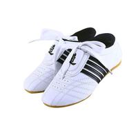 SXTYYH Karate Scarpe Da Taekwondo for Adulti Bambini Kung Fu Tai Chi Scarpe Leggere Flessibili Scarpe Arti Marziali Con Suola Antiscivolo for L'Allenamento(44EU)