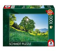 Sycamore Maple in the Sunlight - St. Gallen - 1000 pz