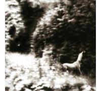 Syd Matters Ghost Days (CD) Album