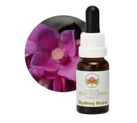 Sydney Rose 15ml stock Australian Bush Flower Essences Ian White