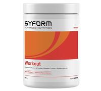 SYFORM Srl Integratore Syform Workout gusto limone in polvere, 360g