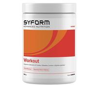SYFORM Srl WORKOUT LIMONE POLVERE 360 G