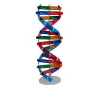 Syglawnd Kids Dna Model, Kids Dna Model Double Spiral Science Educational Components for Teaching Instrument, Spiral Teaching Equipment for Daily Use