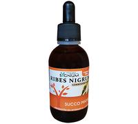 SYGNUM Srl RIBES NIGRUM SUCCO MADRE 50 ML