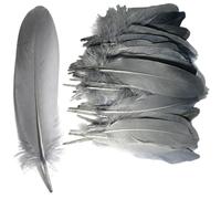 Syiyunran Piume Naturali Artigianali - 50 Pezzi per Decorazioni DIY Nozze Fai, Maschere Piume, Decorazione Acchiappasogni può Essere Utilizzato Come Oggetti Scena Feste Spettacoli(Grigio Chiaro)