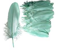Syiyunran Piume Naturali Artigianali - 50 Pezzi per Decorazioni DIY Nozze Fai, Maschere Piume, Decorazione Acchiappasogni può Essere Utilizzato Come Oggetti Scena Feste Spettacoli(Verde Menta)
