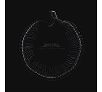 sign of things to come-Import USA