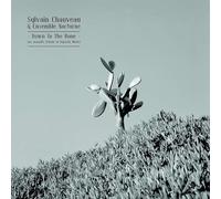 Sylvain Chauveau & Ensemble Nocturne - Down To The Bone: Acoustic Tribute To Depeche Mode