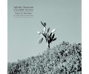 Sylvain Chauveau & Ensemble Nocturne - Down To The Bone: Acoustic Tribute To Depeche Mode