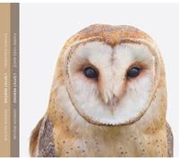 Sylvain Chauveau/Pierre-Yves Mace L'effet Rebond (CD) Album