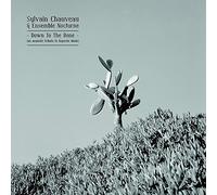 Sylvain Chaveau - Down To The Bone: Acoustic Tribute To Depeche Mode