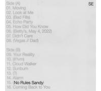 Sylvan Esso - No Rules Sandy (Leaf Green Coloured) (LP)