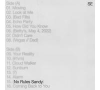 Sylvan Esso - No Rules Sandy