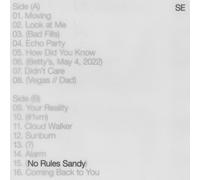 Sylvan Esso No Rules Sandy (Vinyl LP) 12" Album