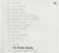 Sylvan Esso No Rules Sandy (Vinyl LP)