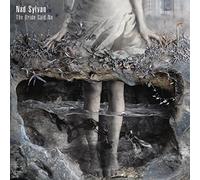 Sylvan, Nad - Bride Said No