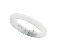 Sylvania circolare 32 W 12 Bianco freddo 840